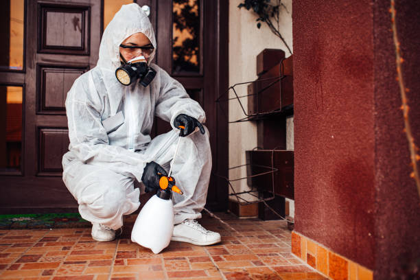 Reliable Wasp Removal contractor in San Diego, CA by Show Me Pest Control
